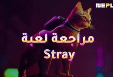 مراجعة لعبة Stray